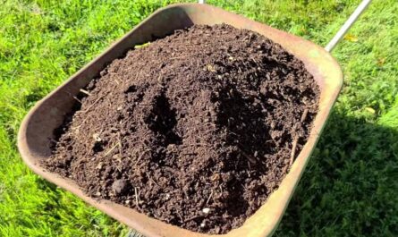 How to make compost