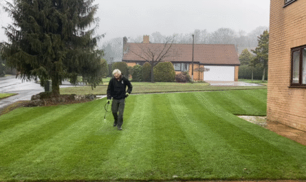 7 best weed killers