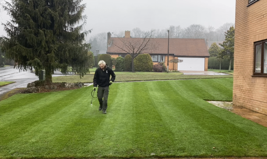 7 Best Weed Killers for Lawns Every Gardener Should Know