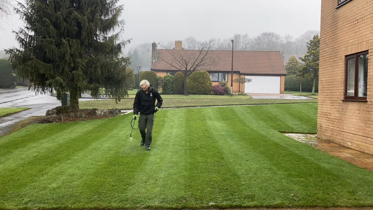 7 best weed killers