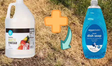 DIY Weeds Killer Receipes