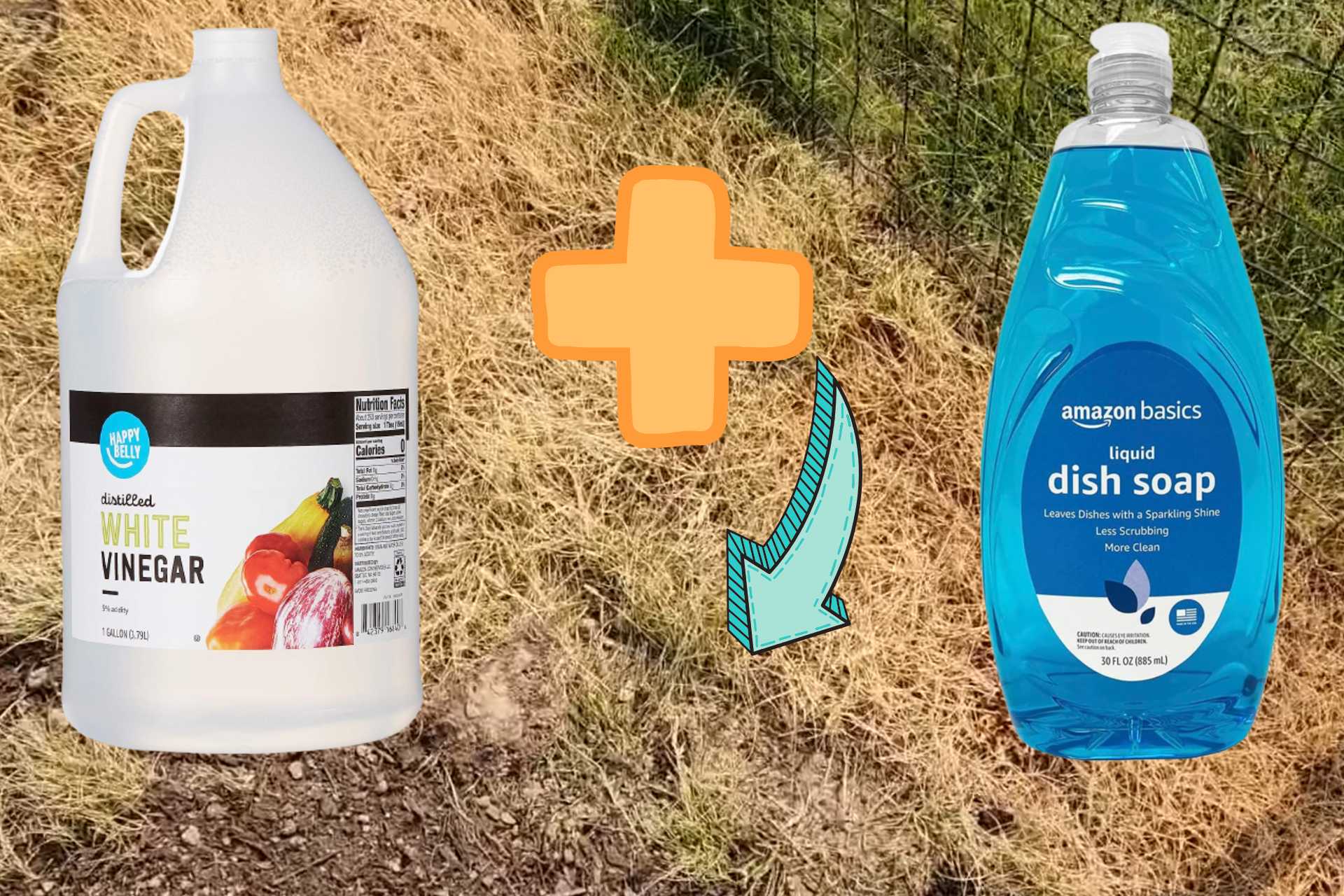 DIY Weeds Killer Receipes