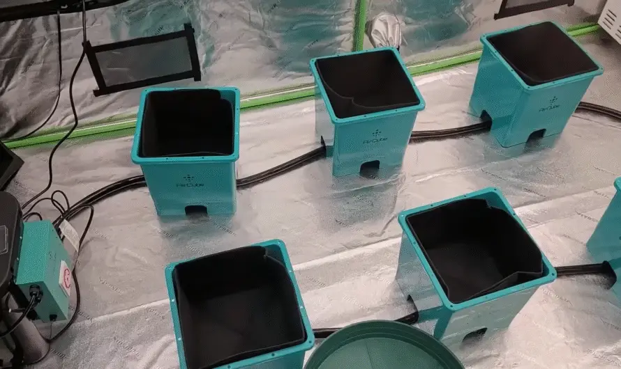 Ebb and Flow- How to Setup an Ebb and Flow Hydroponic System