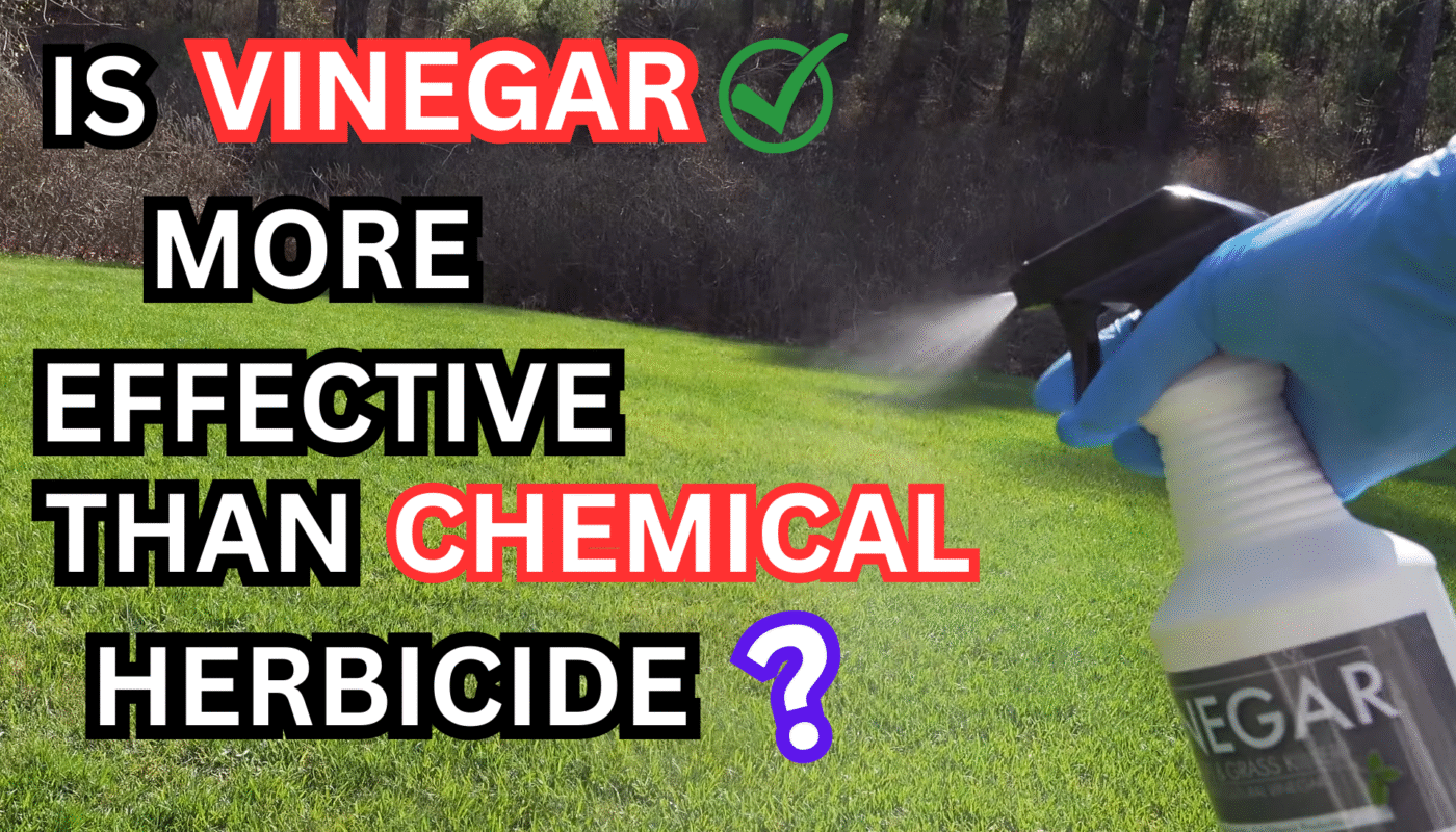 Vinegar Weed Killer