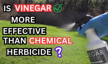Vinegar Weed Killer