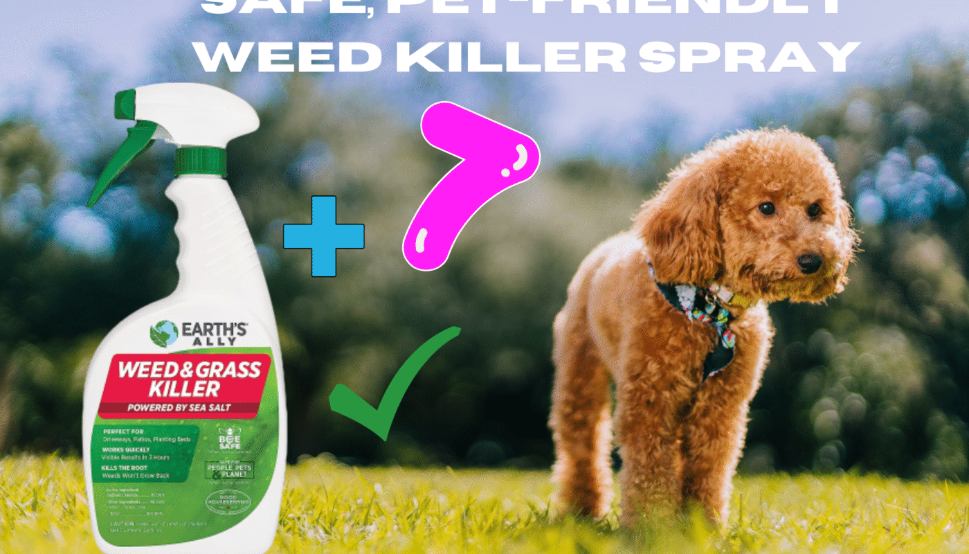 Weed Killer Spray Safe