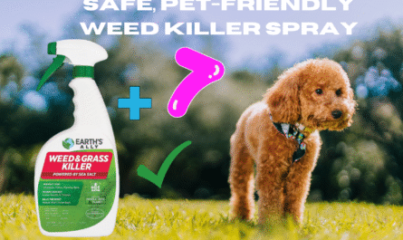 Weed Killer Spray Safe