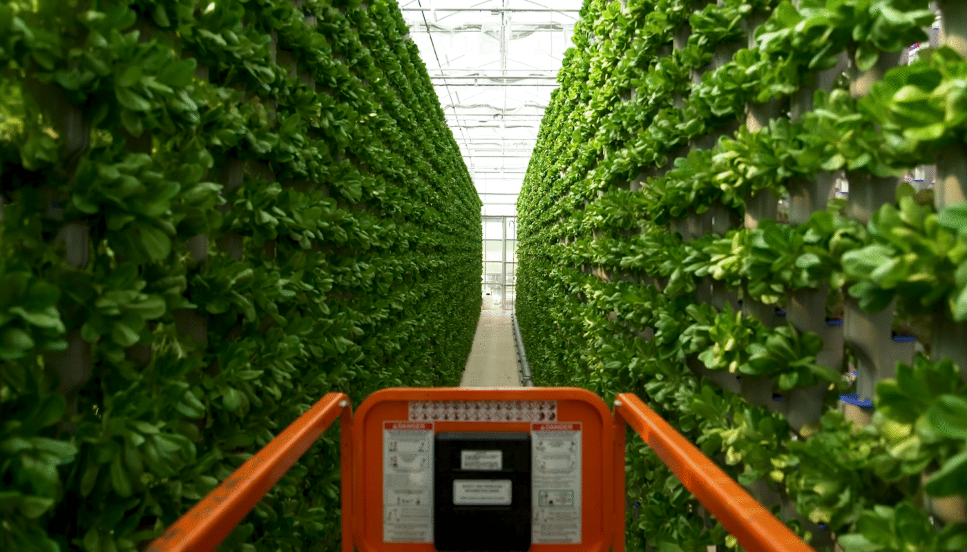 Hydroponic Farming