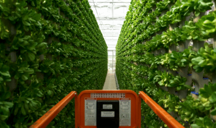 Hydroponic Farming
