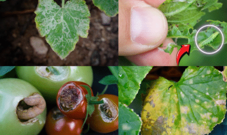 _How to Identify Common Garden Pests By Their Leaf Signature