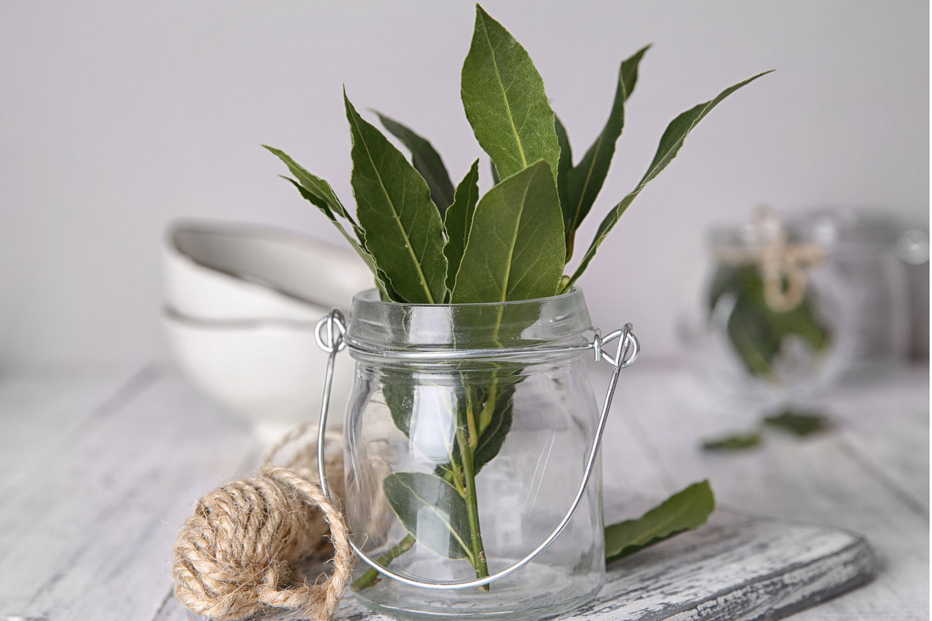 Bay leaves