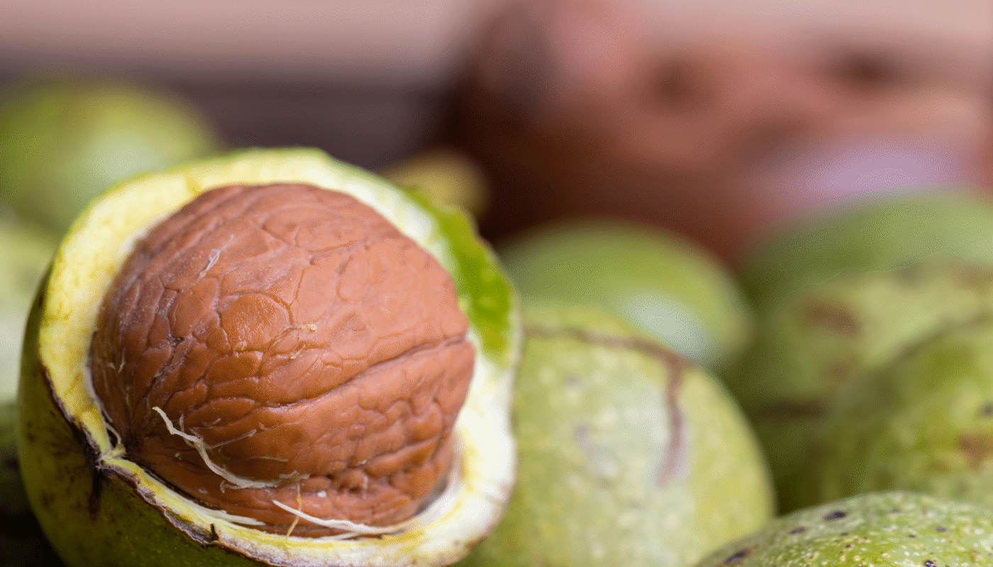 Green Walnut Shells