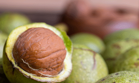Green Walnut Shells