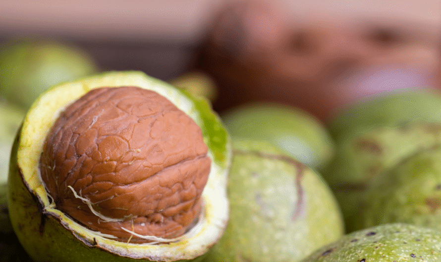 9 Unbelievable Health Benefits of Green Walnut Shells