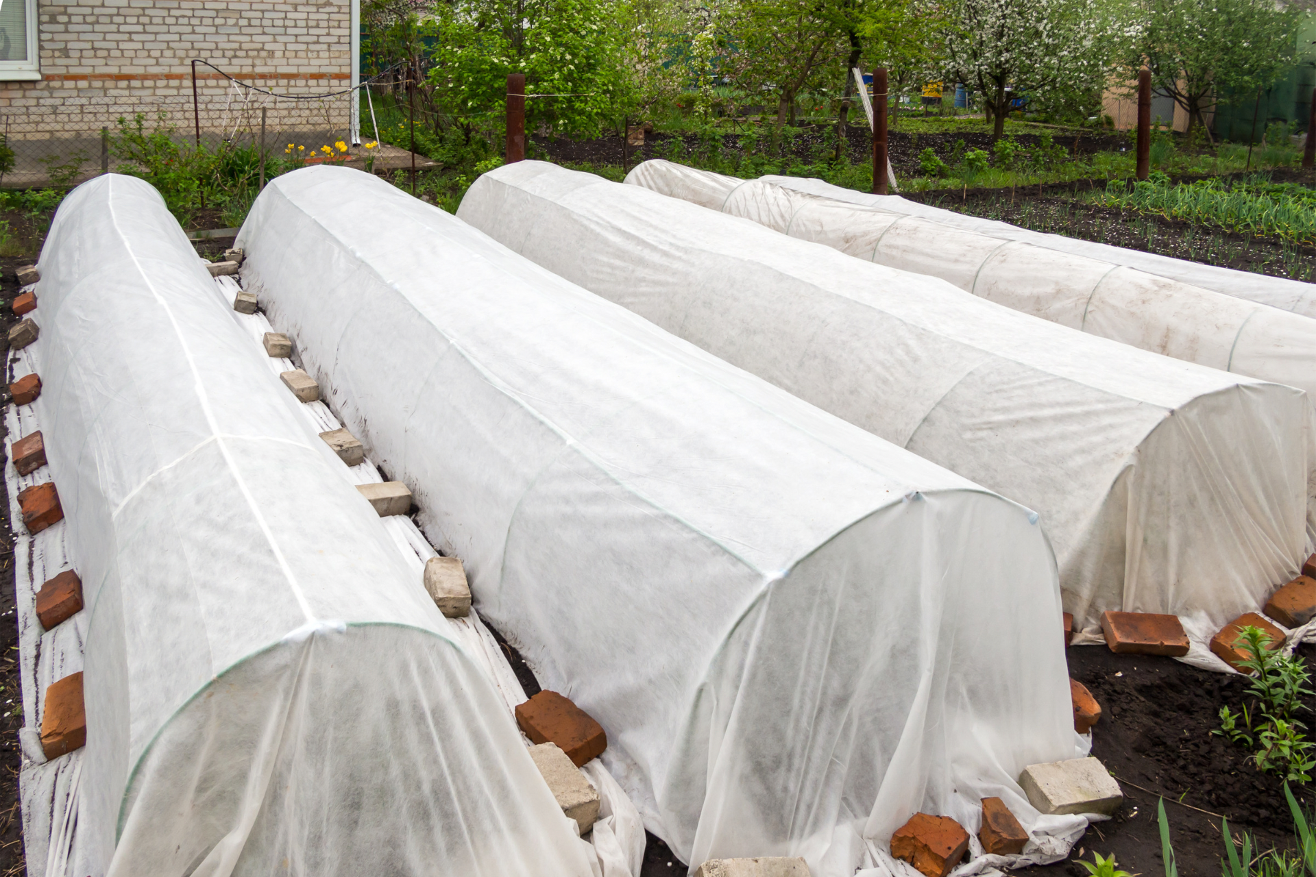 How to Use Row Covers to Protect Winter Crops