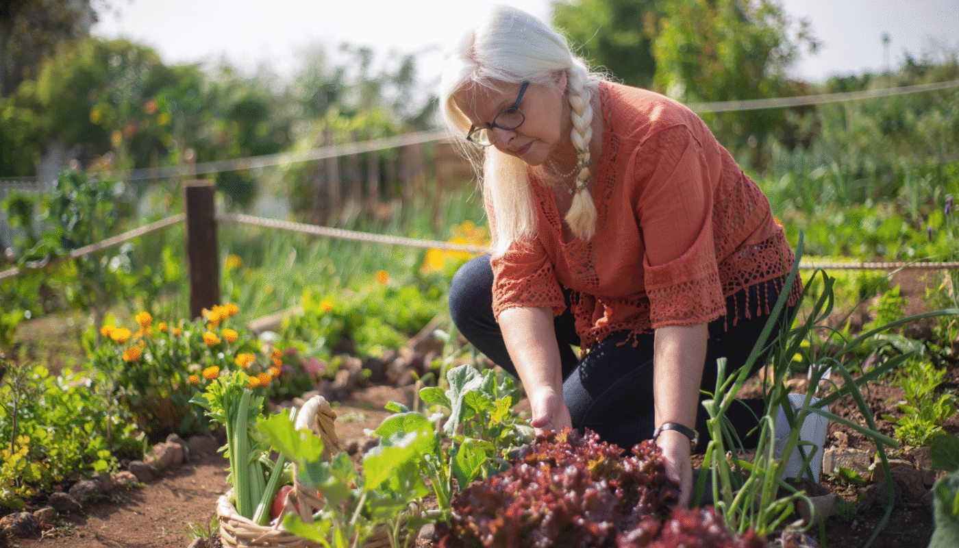Gardening for Beginners