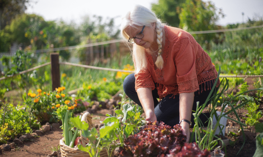Gardening for Beginners: 15 Tips for First-Timers