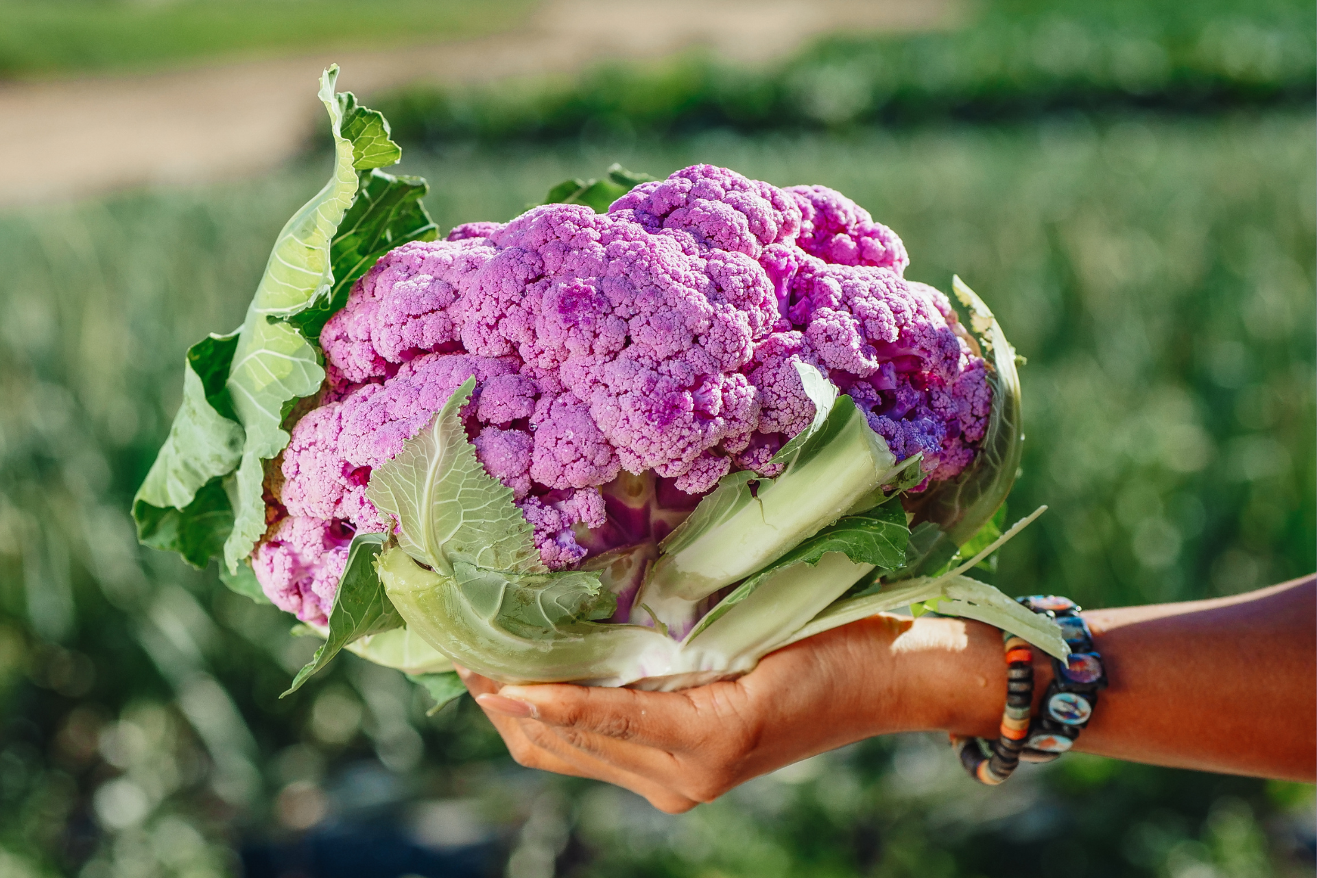 20 Common Cruciferous Vegetables
