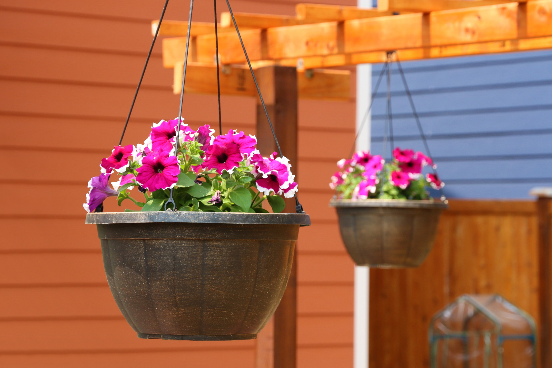 Assemble a Hanging Basket