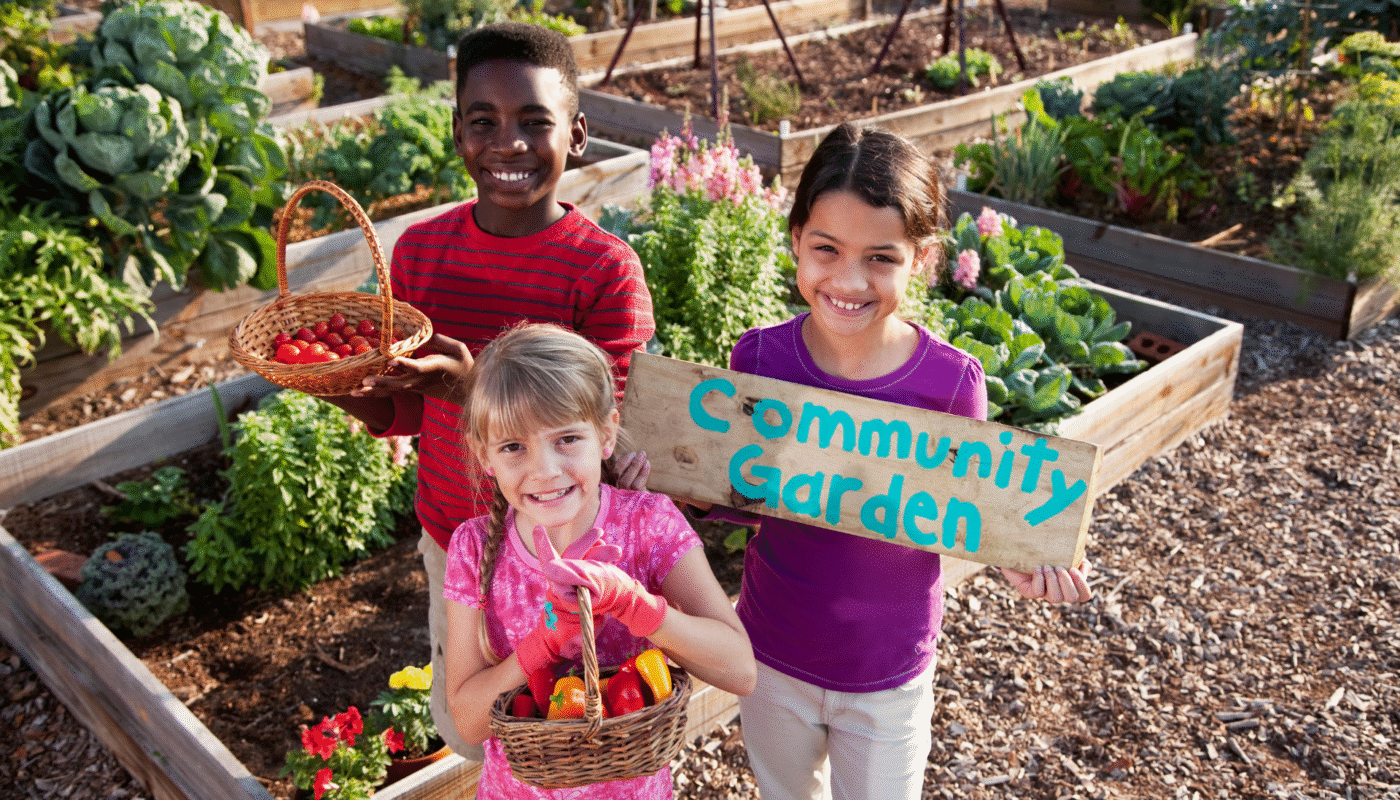 Community Garden ideas