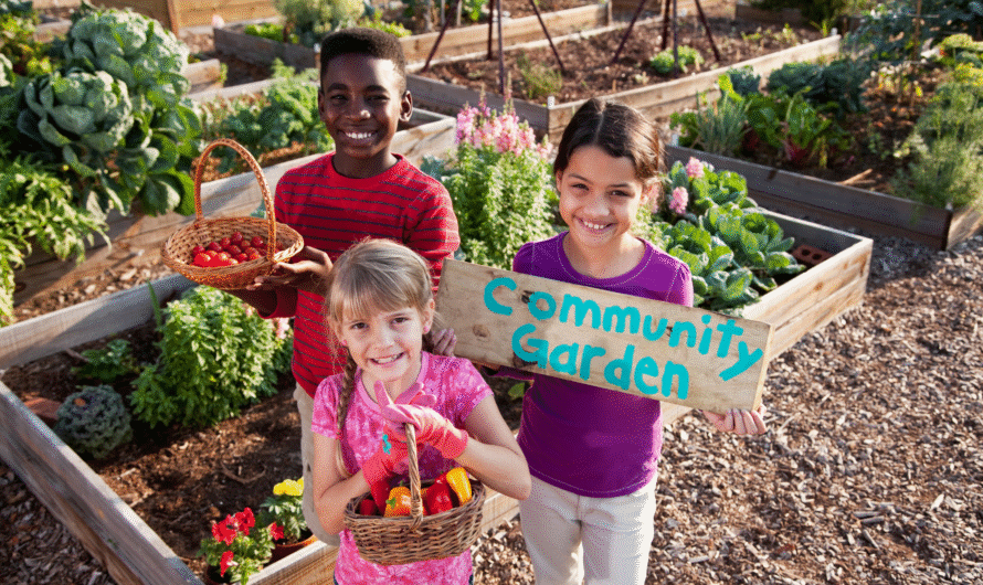 20 Community Garden Ideas To Bring People Together