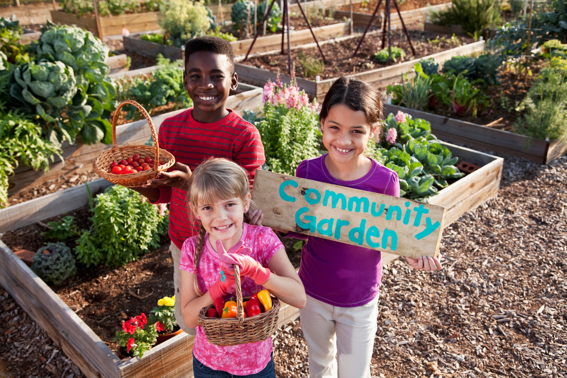 Community Garden ideas