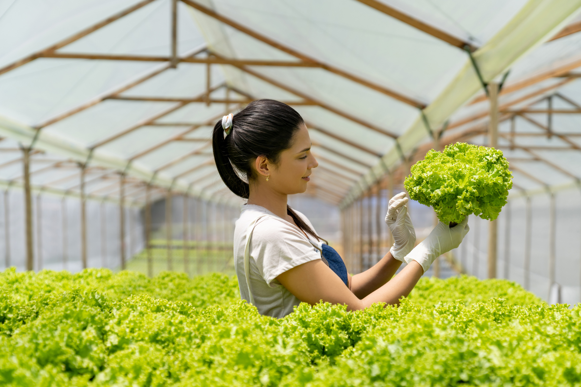 Community Greenhouse