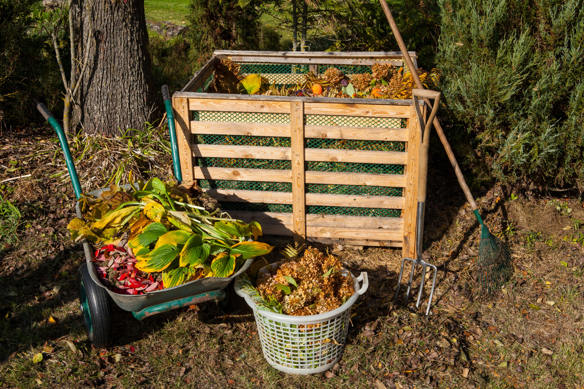 Compost Bin