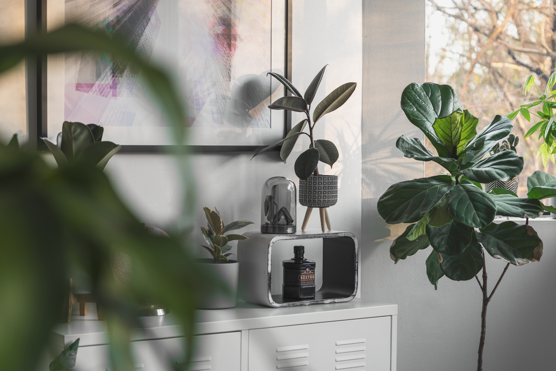 Conclusion on How to Keep Indoor Plants Alive