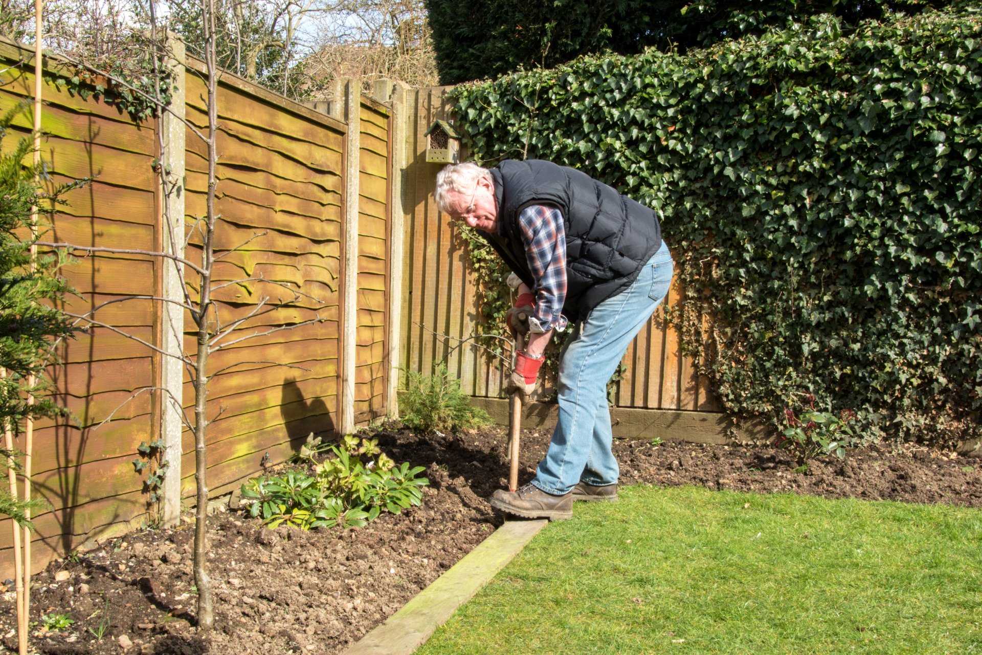 Edge the Garden