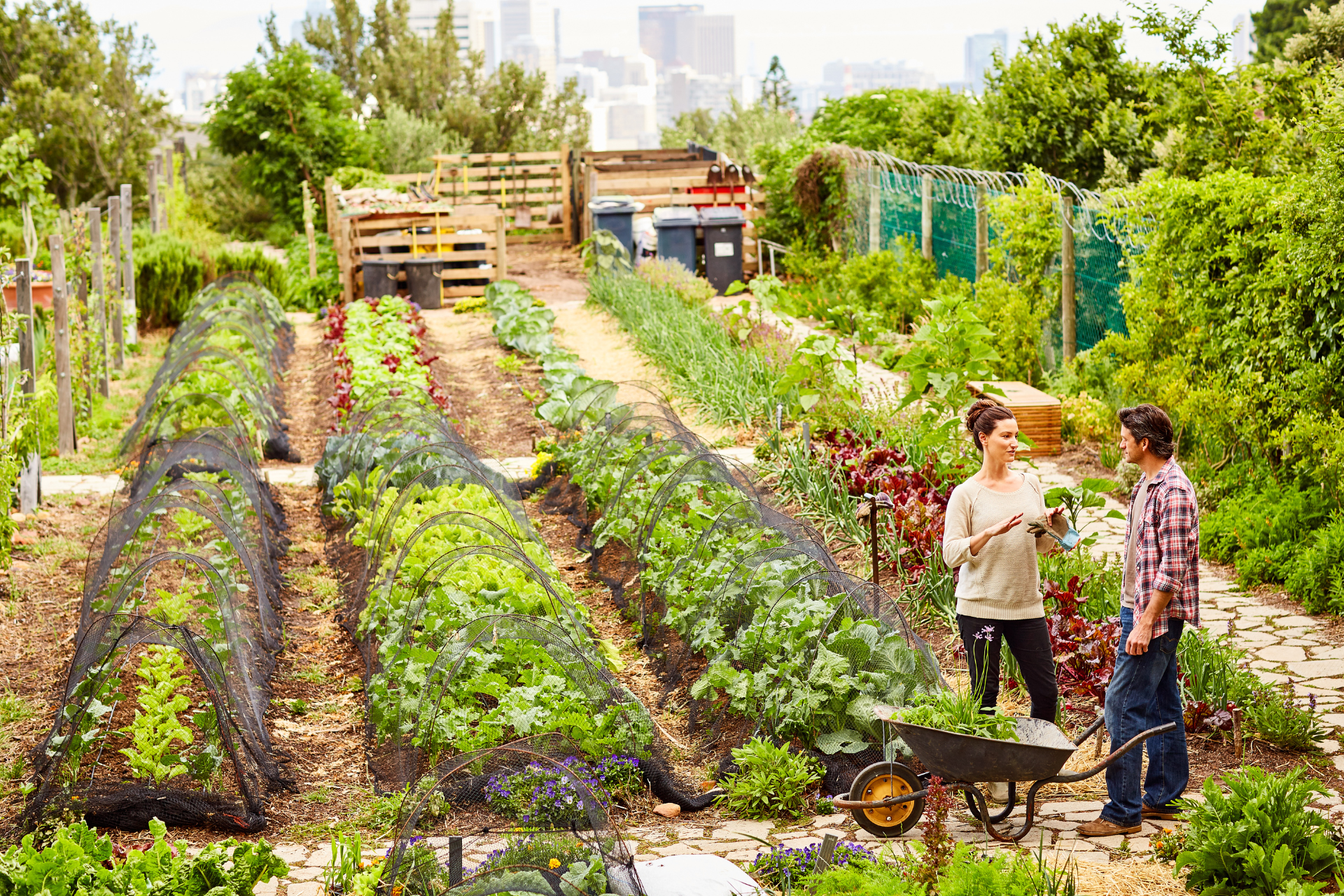 Garden Layout