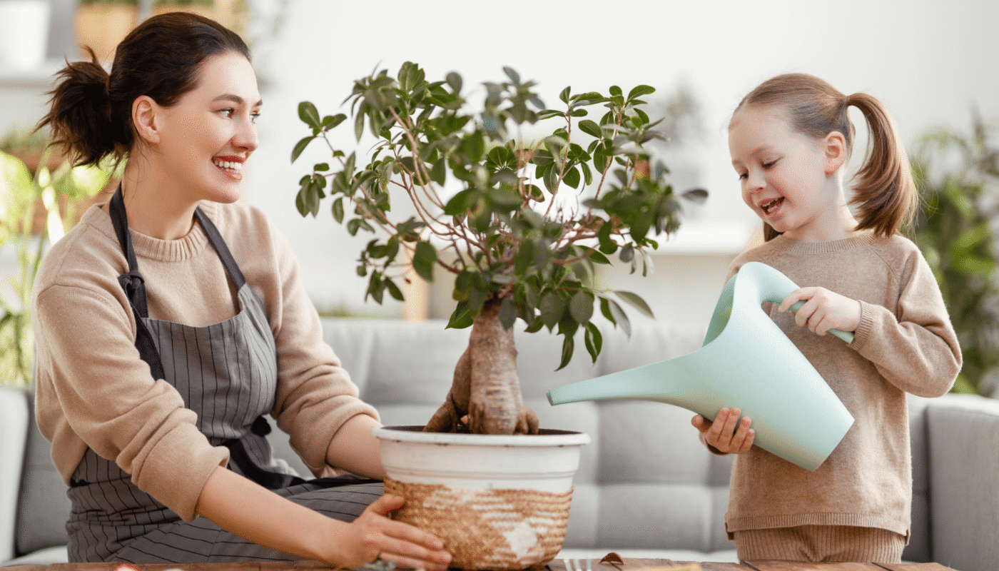 How to Care for Indoor Plants