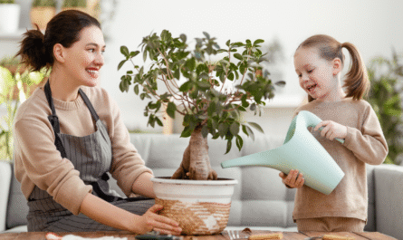 How to Care for Indoor Plants