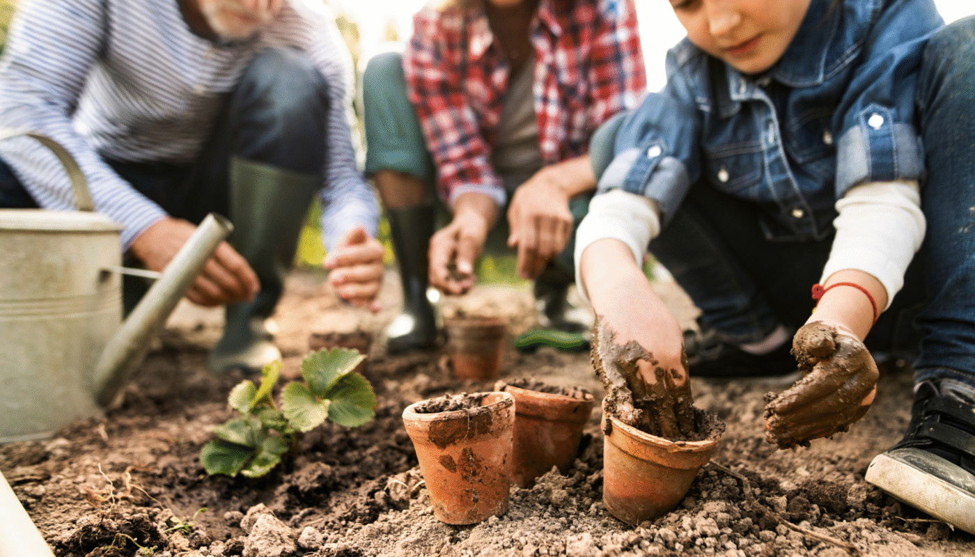 How to Start a Garden