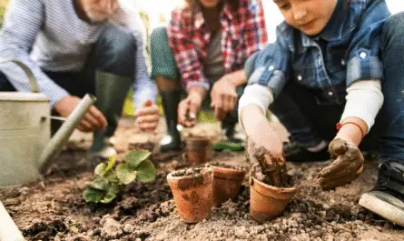 How to Start a Garden
