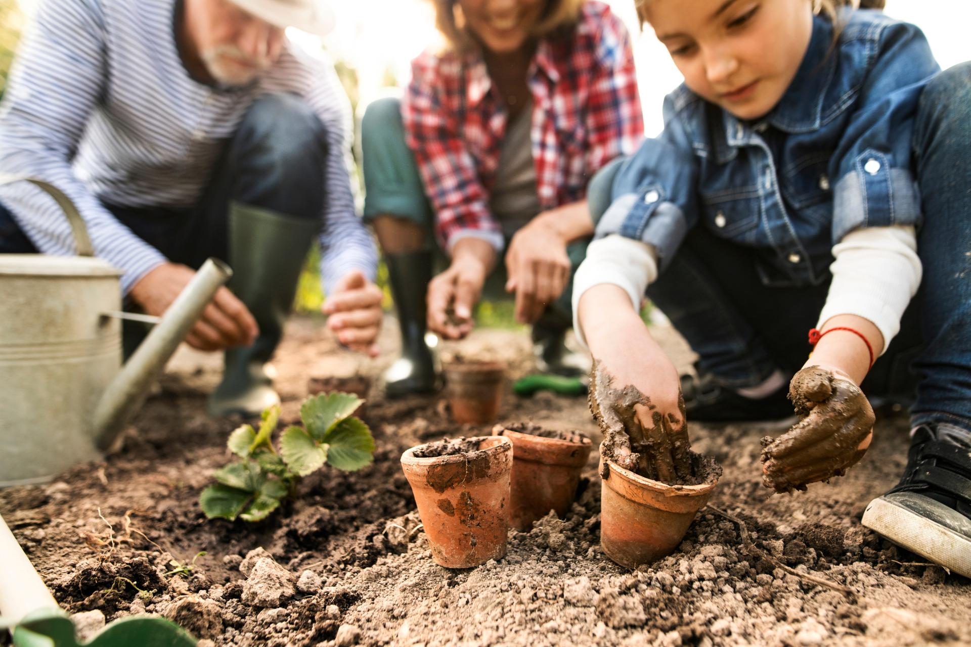 How to Start a Garden