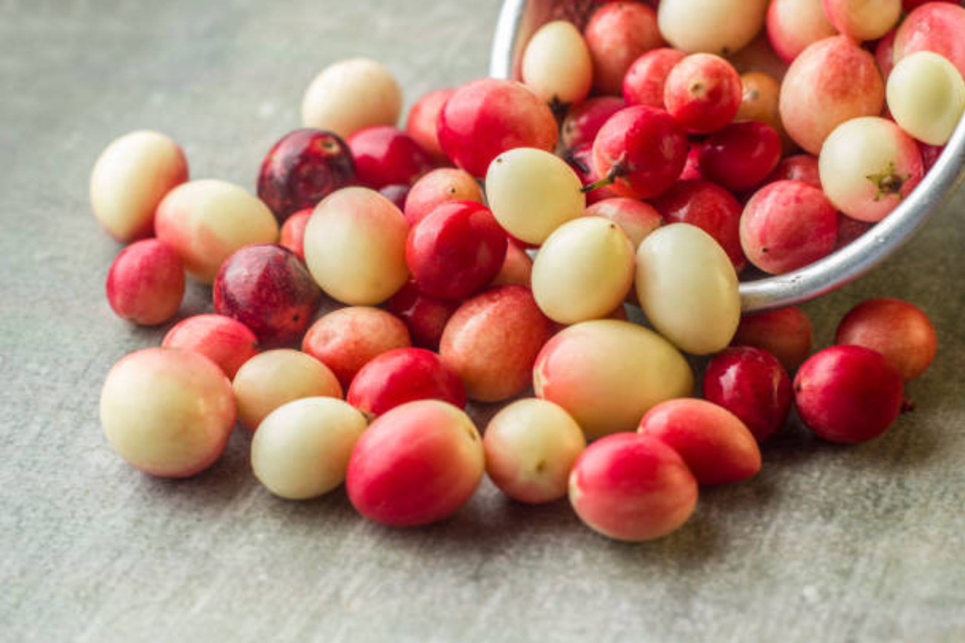 Karonda fruit