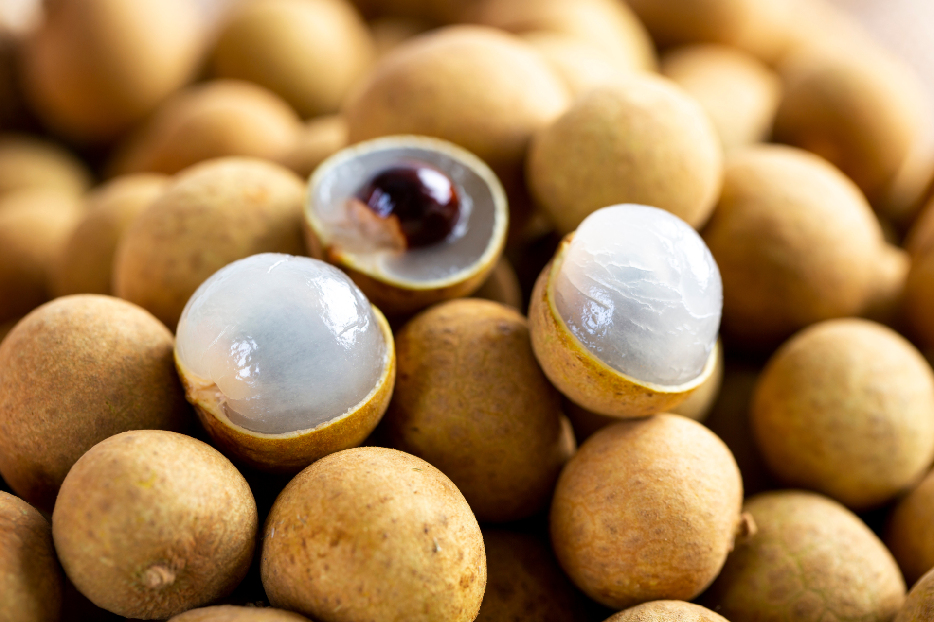 Longan