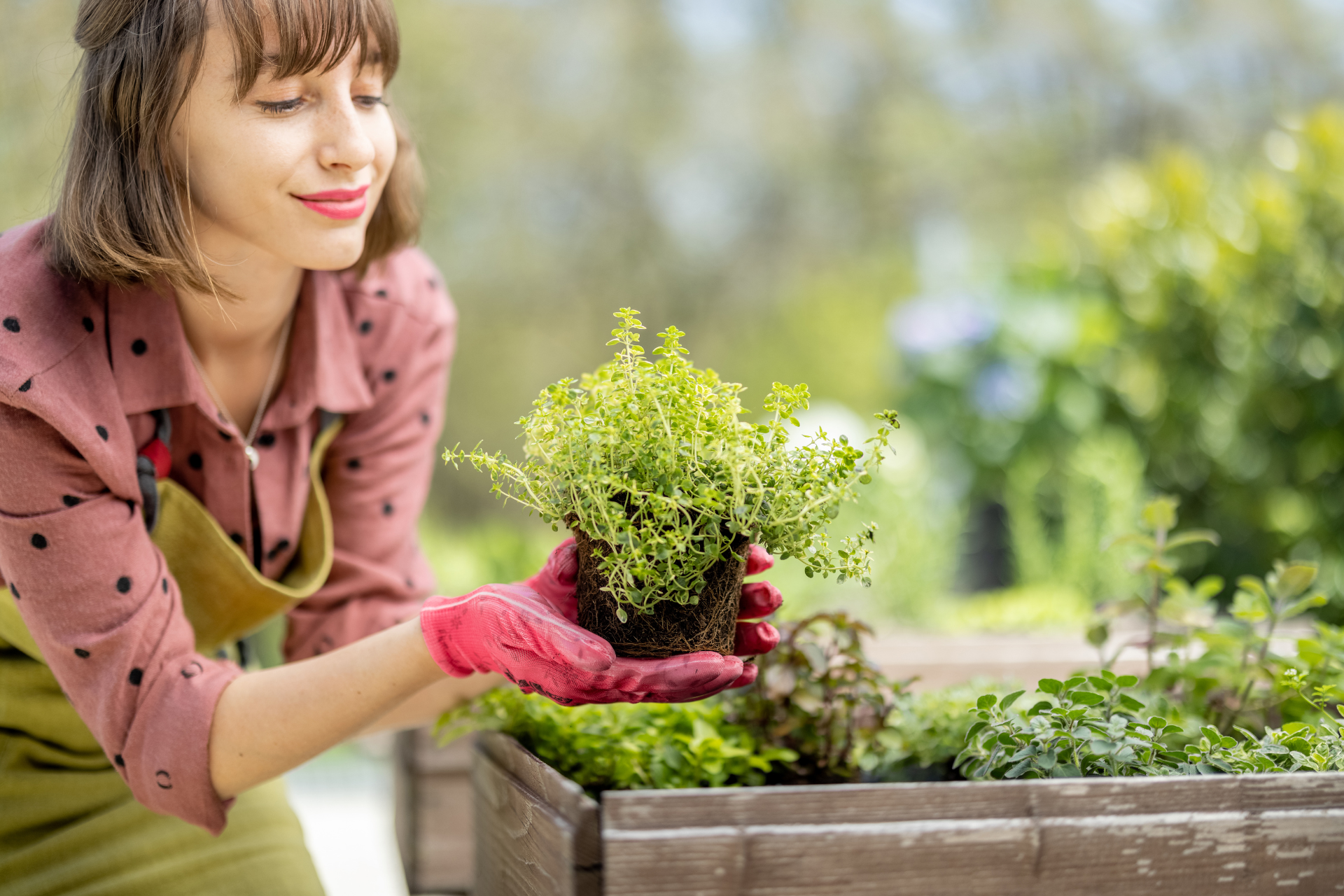 Maintaining garden