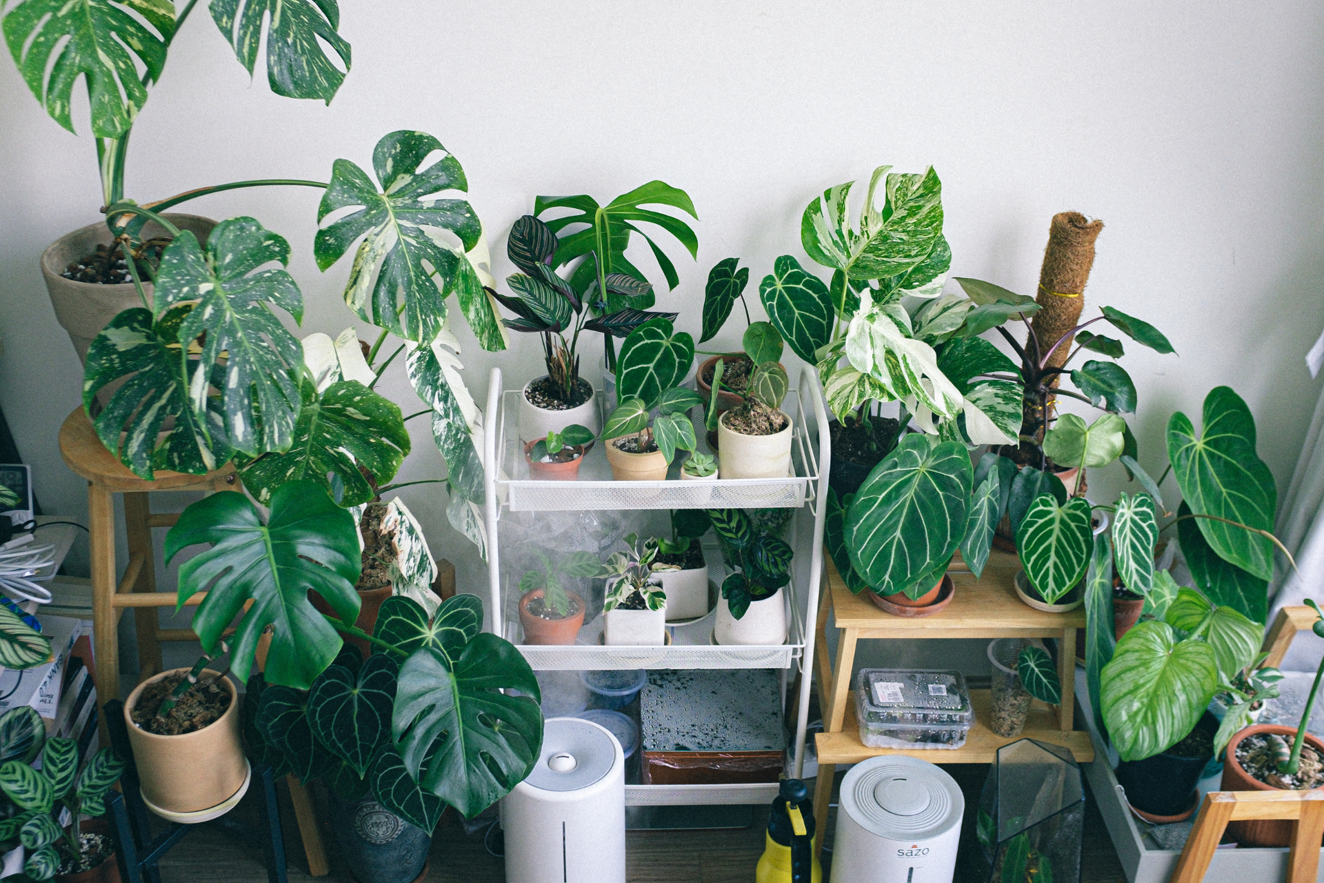Neglecting Humidity Requirements