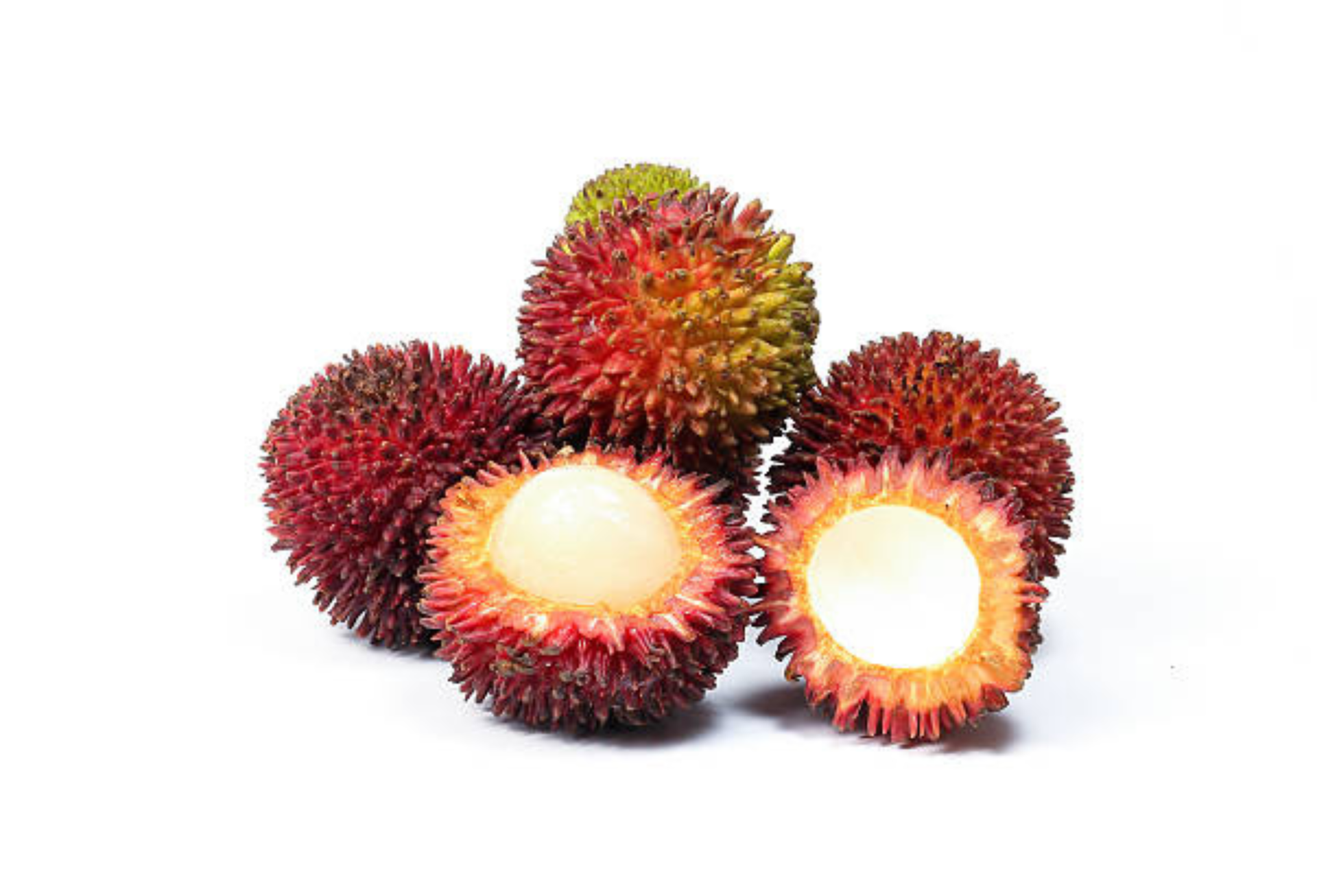  Pulasan