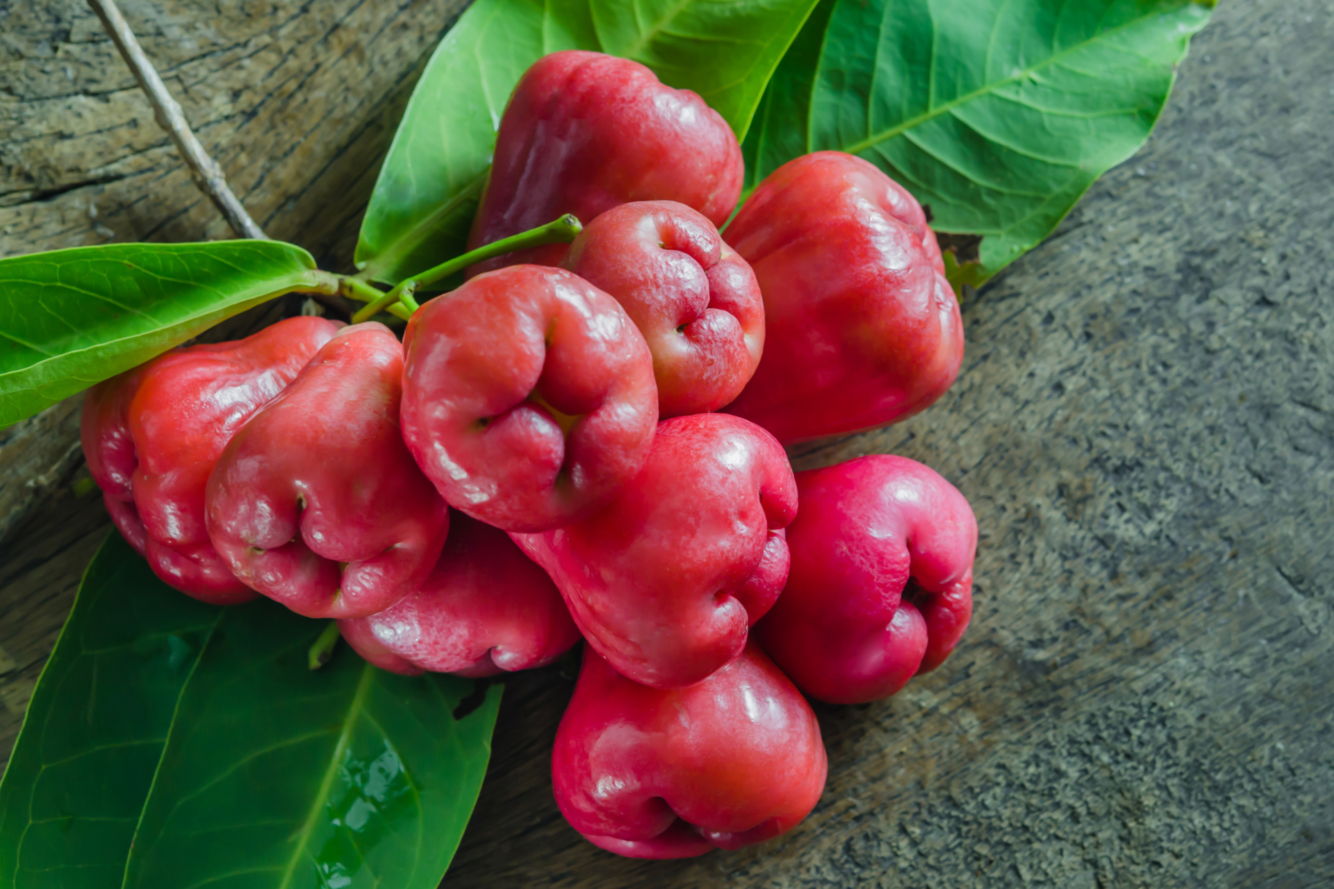 Rose Apple fruit