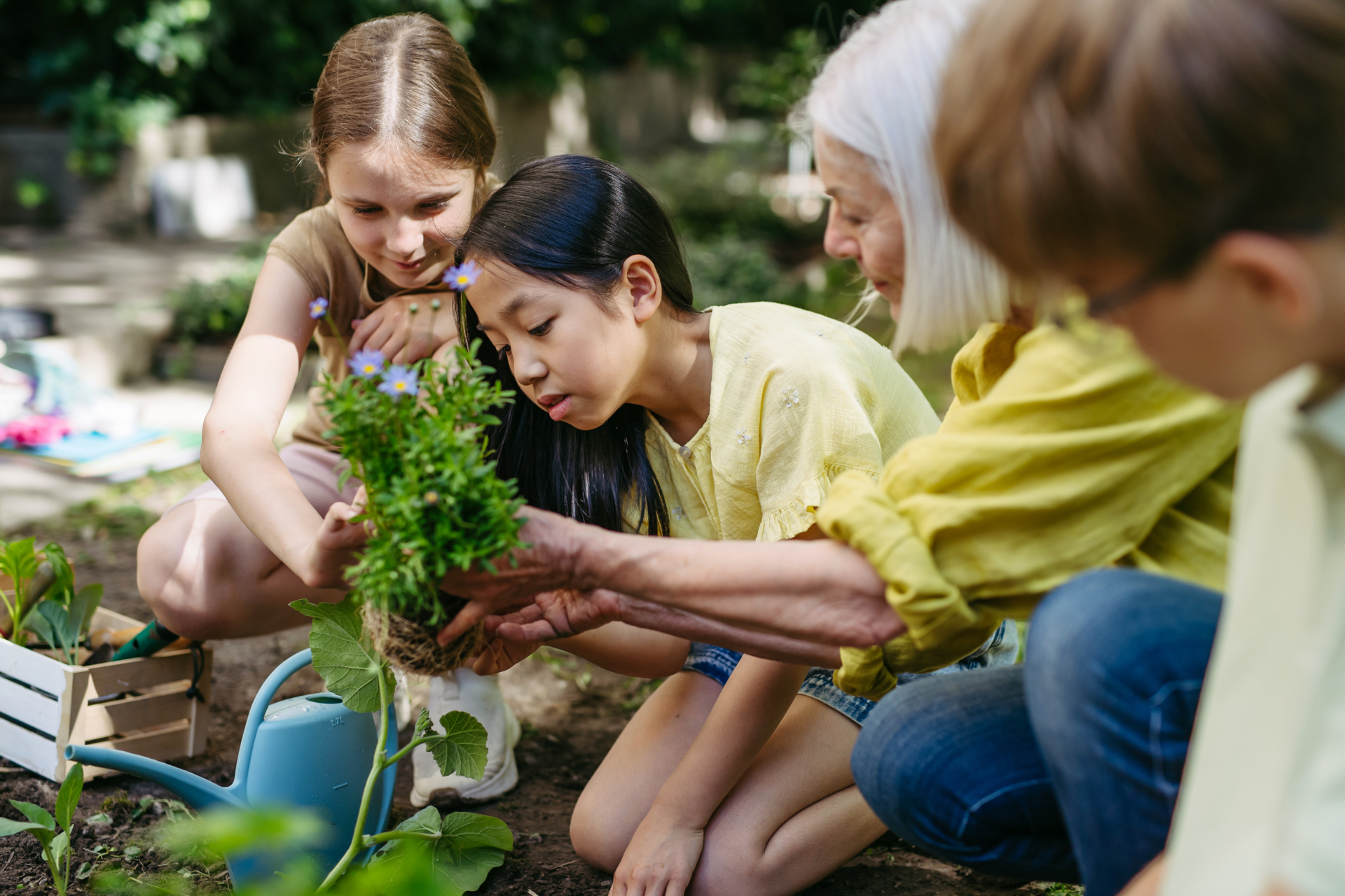 School garden