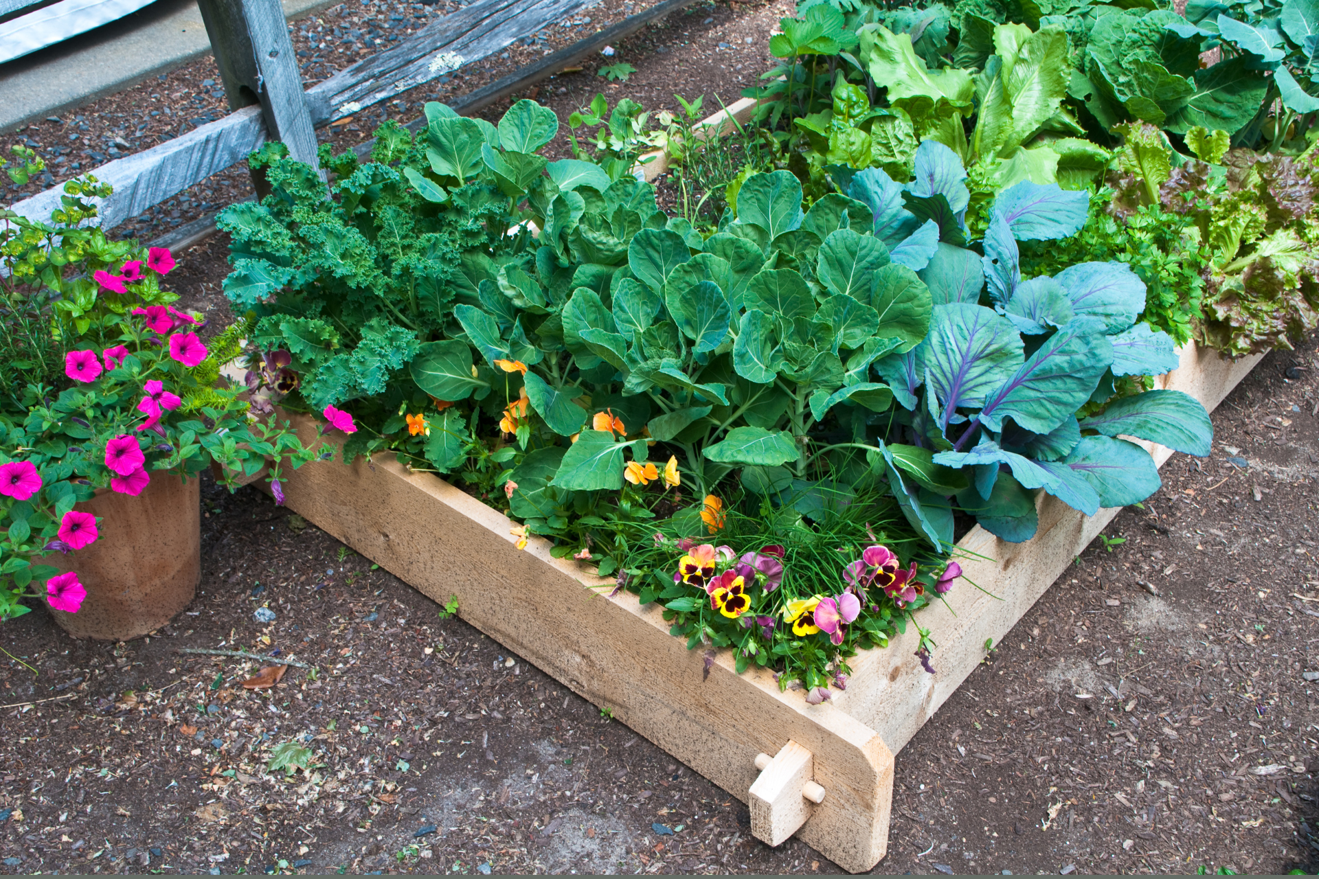 _Small Raised Bed