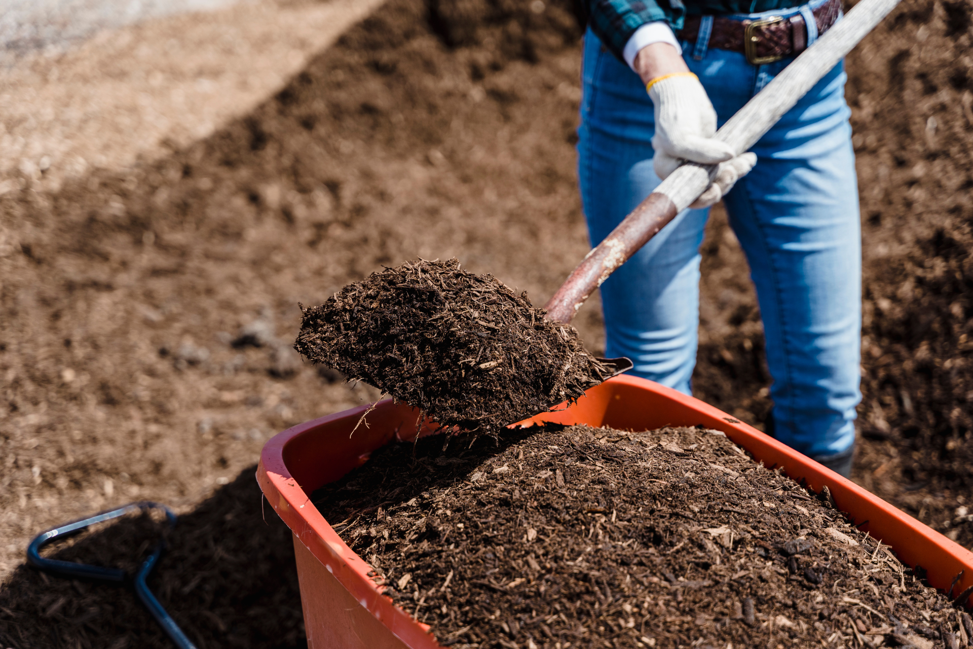 Soil Preparation