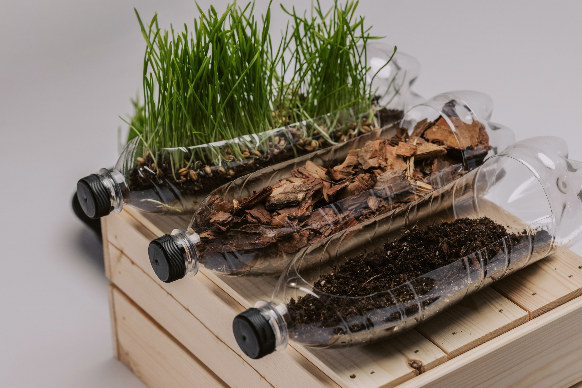Upcycled Planters