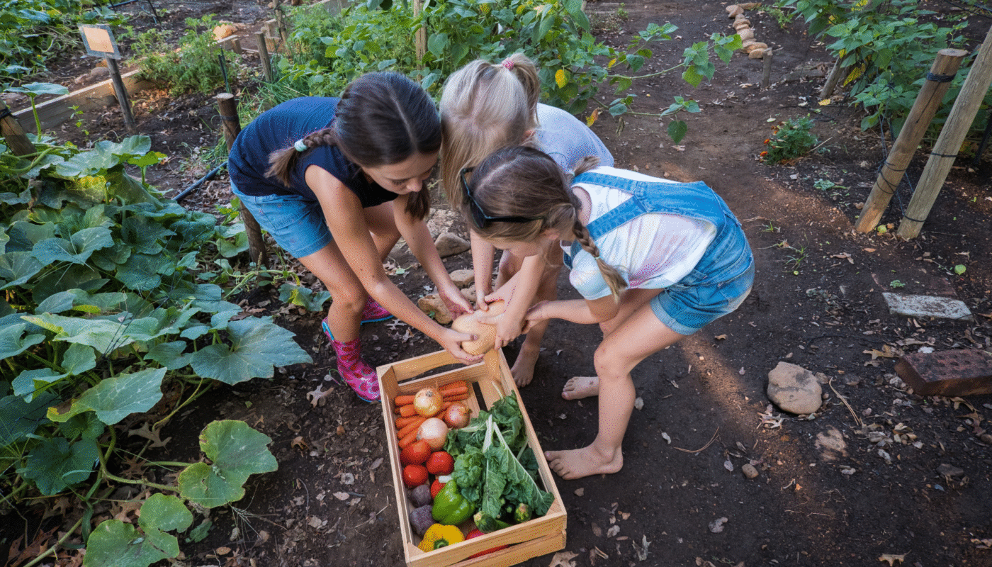 Vegetable Garden for Beginners