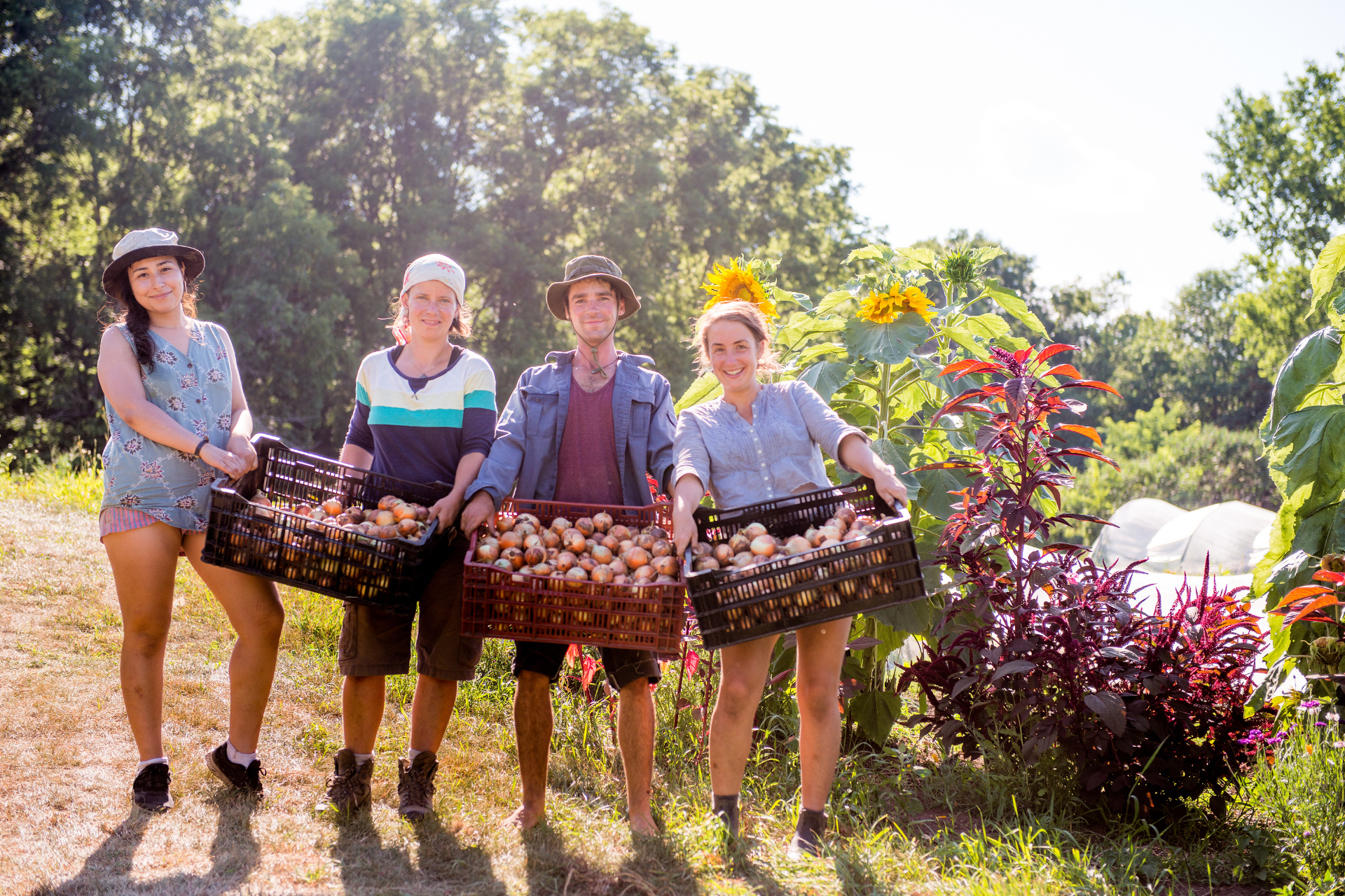 community garden ideas