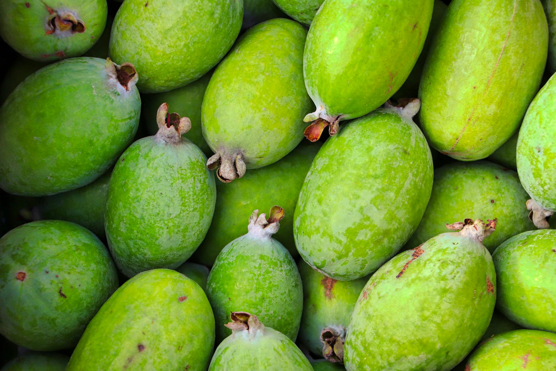 Feijoa (Pineapple Guava)