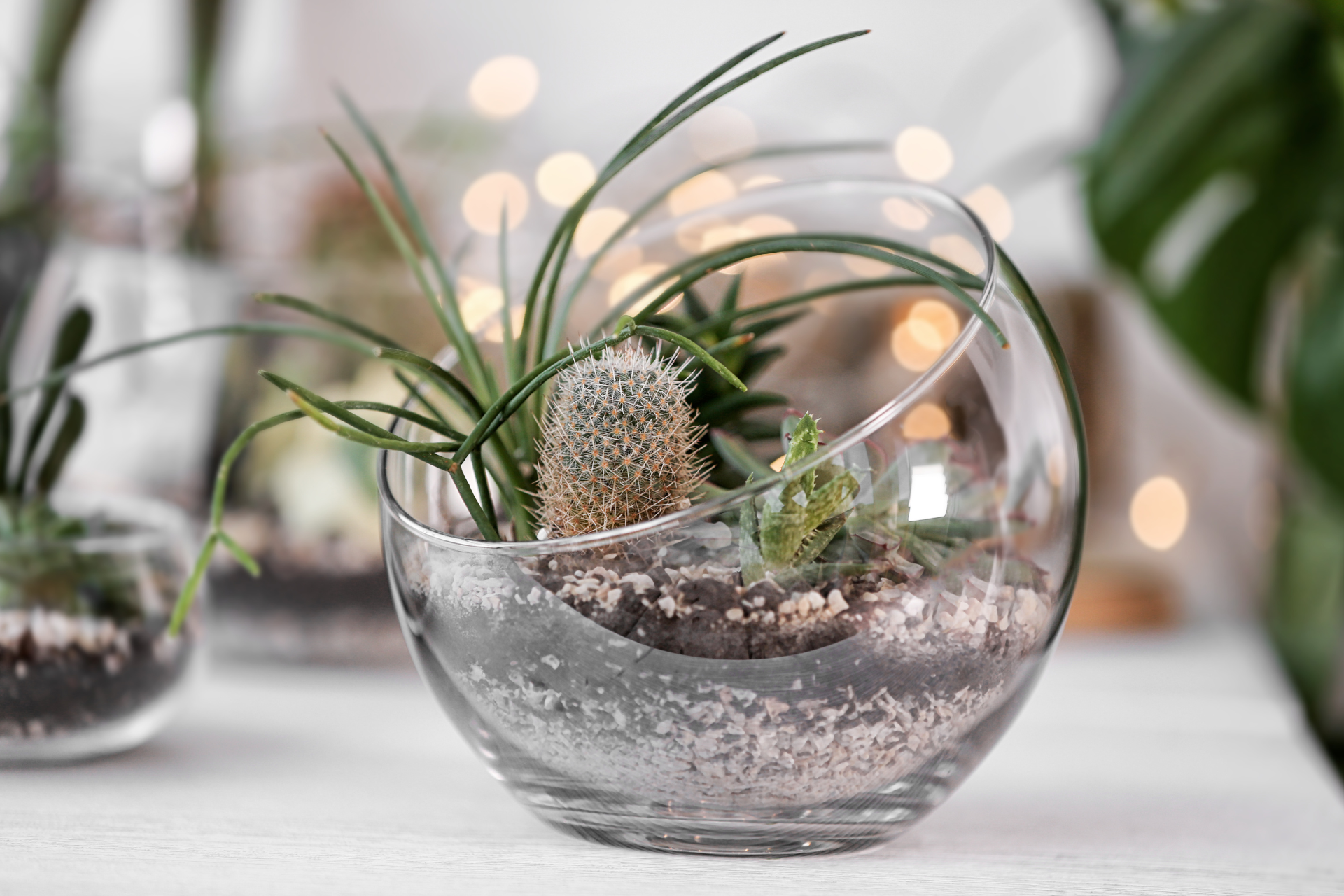 Succulent terrarium